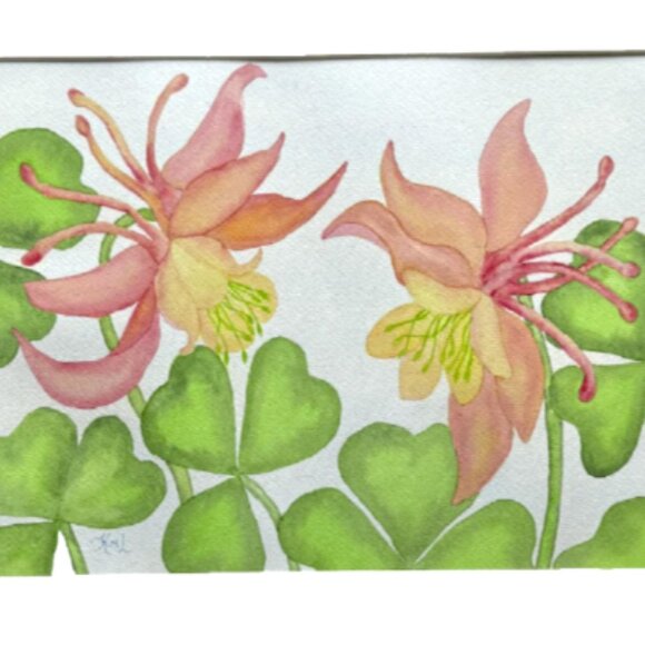 Painting Watercolor Flowers Columbine Pink Yellow Coral 11x14 and Mat 16x20 Art
